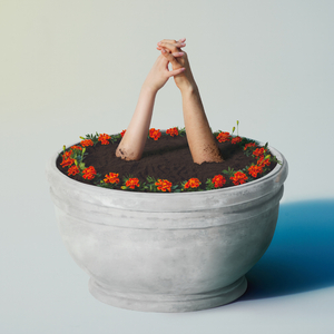 欧美日韩国产中文高清视频
