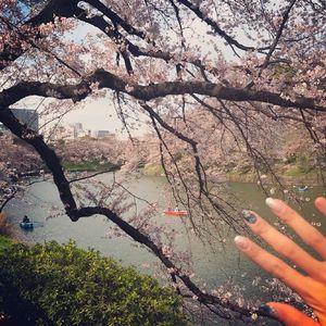 欧美日韩国产中文高清视频
